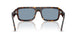 902/56 - Tortoise - Blue