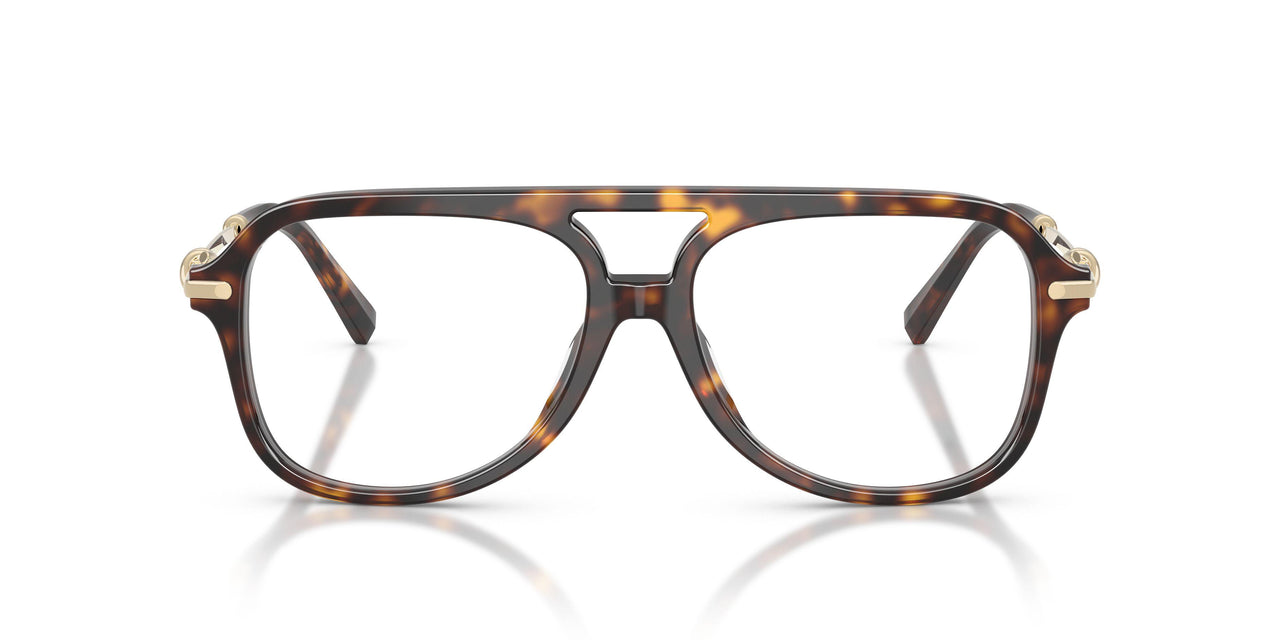 8015 - Tortoise