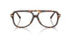 8015 - Tortoise