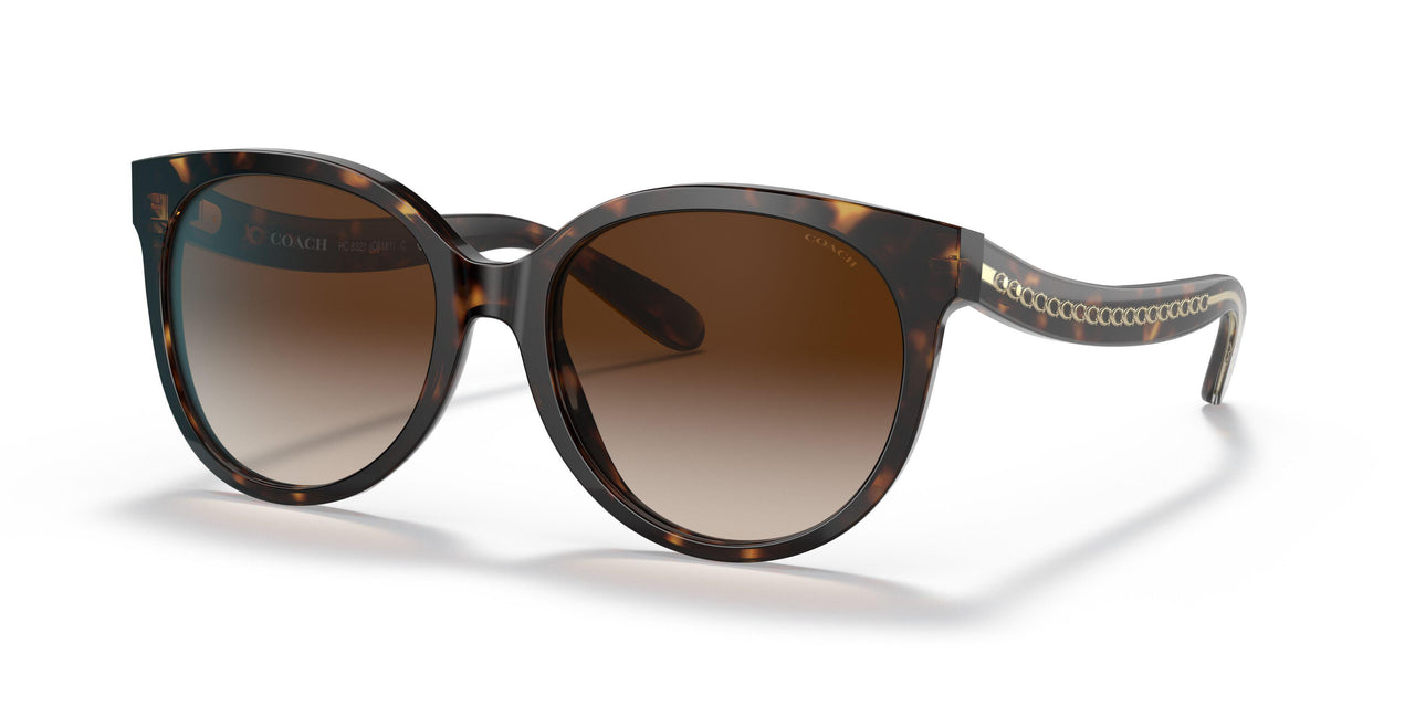 51203B - Havana - Brown Gradient