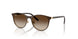 297/13 - Brown - Gradient Brown