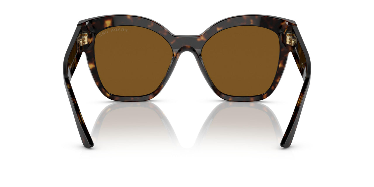 2AU5Y1 - Havana - Polar Dark Brown