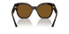 2AU5Y1 - Havana - Polar Dark Brown