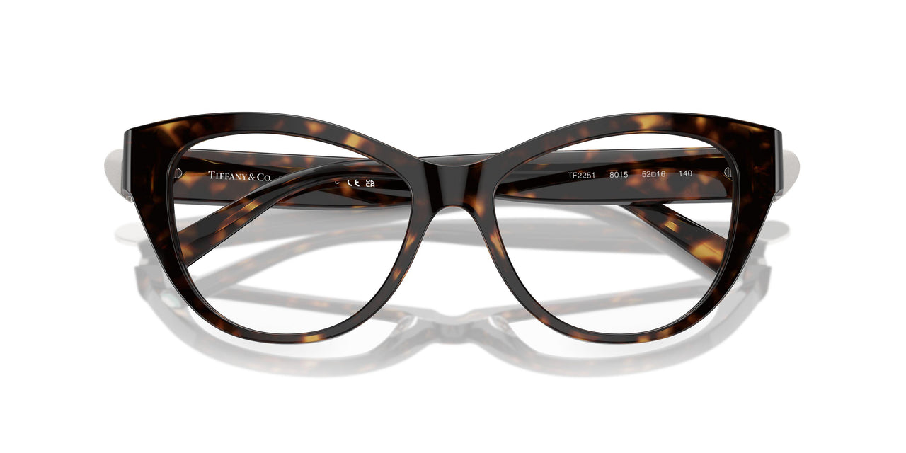 8015 - Tortoise