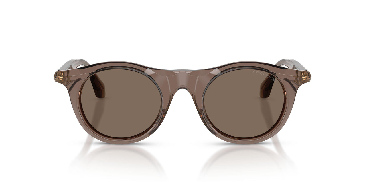 642073 - Brown - Brown