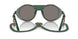 5596Z6 - Green - Light Grey Mirror Silver