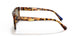 005/3G - Havana - Brown