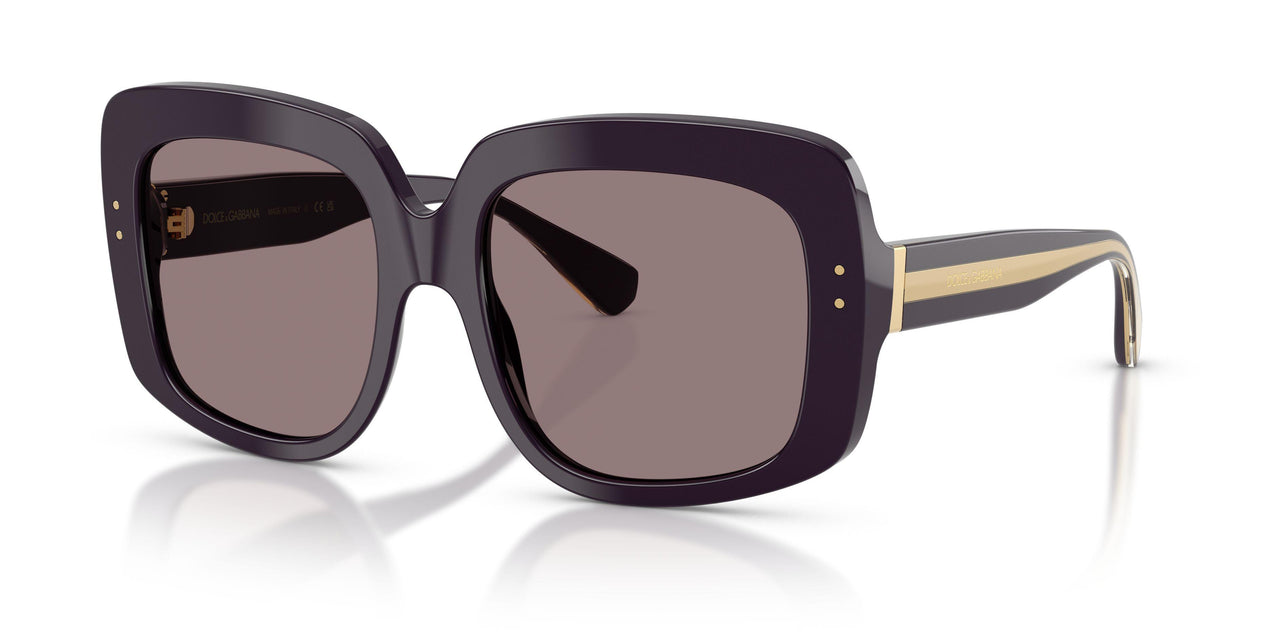 Dolce & Gabbana 4557 Sunglasses