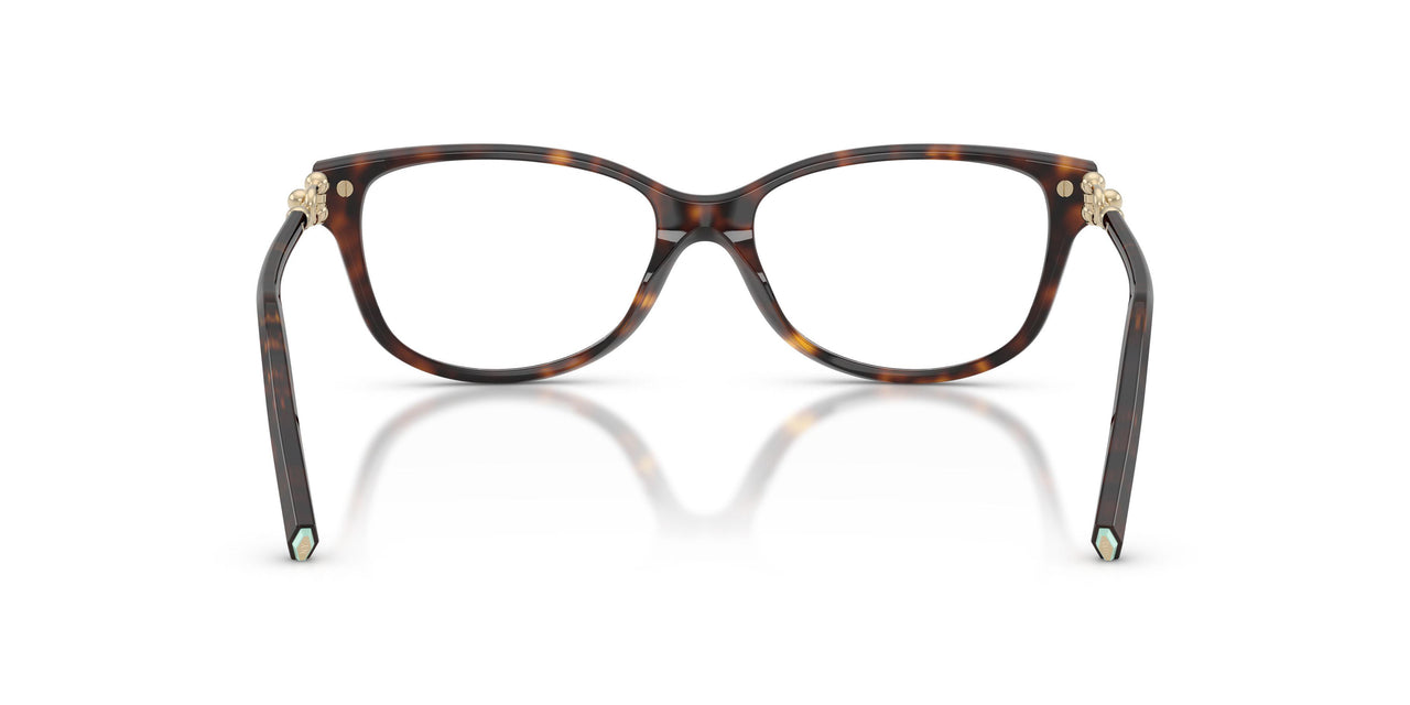 8015 - Tortoise
