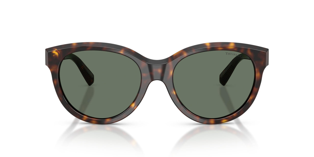 80153H - Tortoise - Dark Green