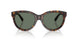80153H - Tortoise - Dark Green