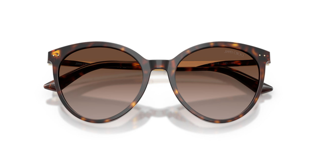500213 - Tortoise - Gradient Brown