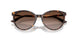 500213 - Tortoise - Gradient Brown