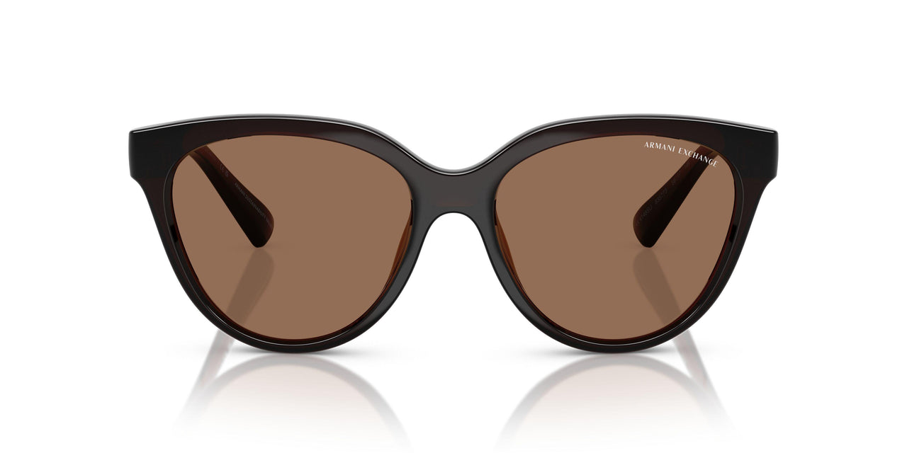 835773 - Brown - Dark Brown