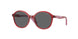306687 - Transparent Dark Red - Dark grey