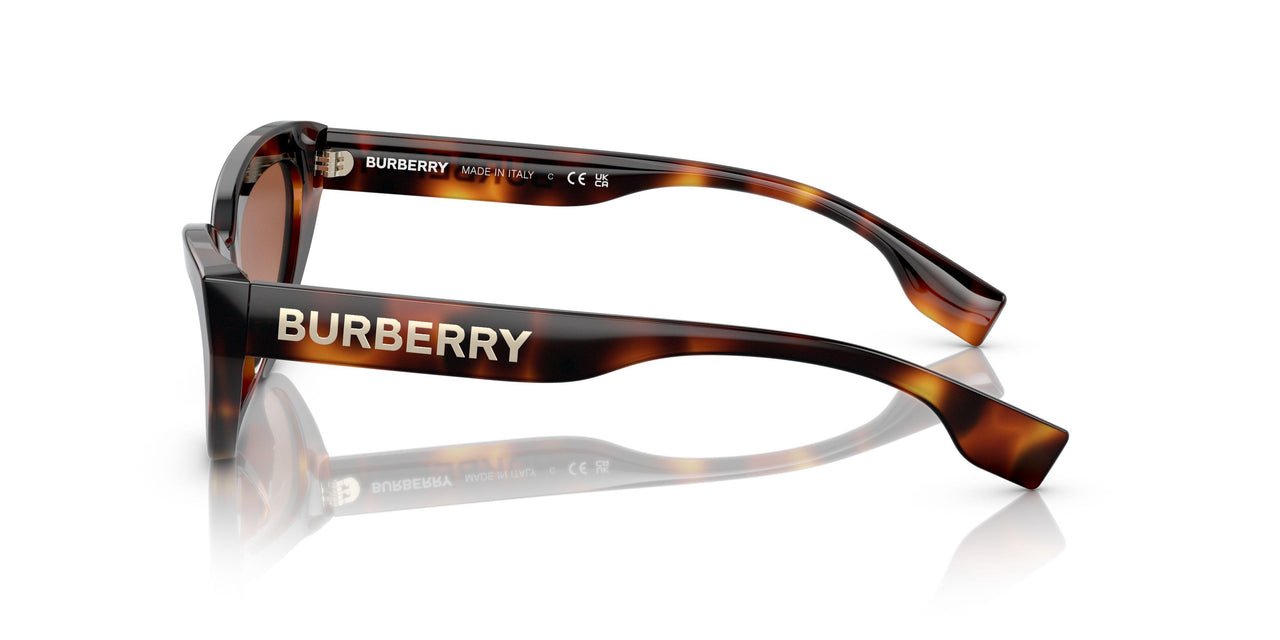 331613 - Havana - Brown Gradient