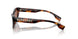 331613 - Havana - Brown Gradient