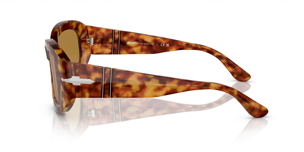 106/53 - Tortoise - Brown