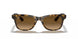 710/M2 - Havana - Gradient Brown Polar