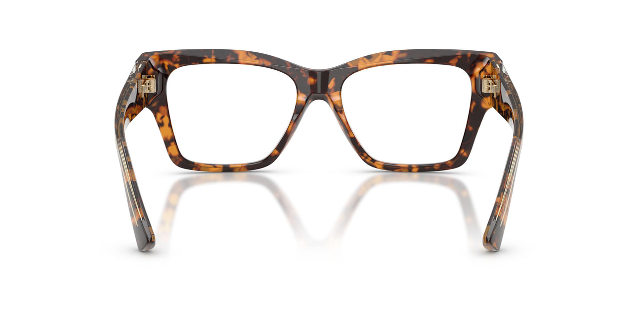 5121 - Tortoise