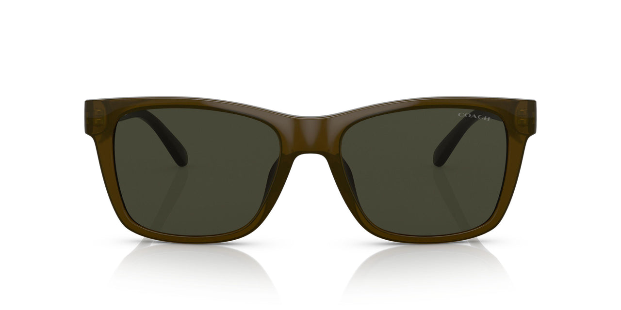 520382 - Green - Dark Green Solid