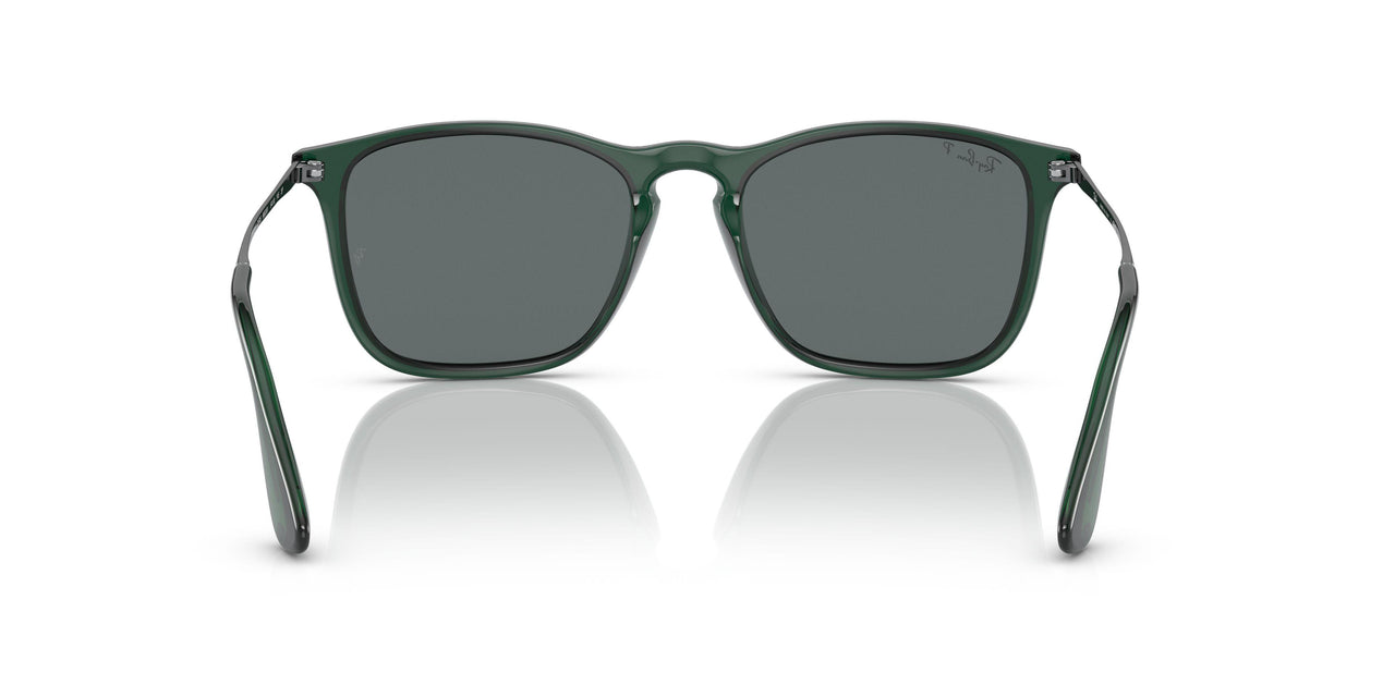 666381 - Green - Dark Grey Polar