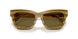 318073 - Multicolor - Olive Brown