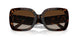 172813 - Havana - Brown Gradient