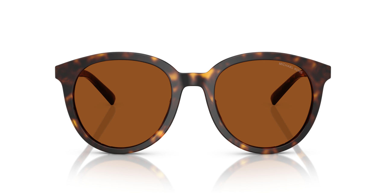 300673 - Tortoise - Brown Solid