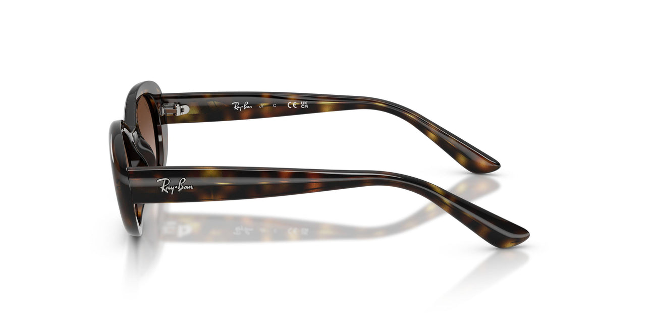 152/13 - Tortoise - Gradient Brown