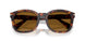 24/33 - Tortoise - Brown