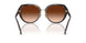 512074 - Tortoise - Brown Gradient