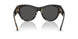 410687 - Tortoise - Dark Grey