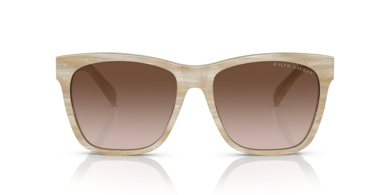 604813 - Tortoise - Gradient Brown
