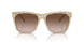 604813 - Tortoise - Gradient Brown