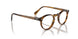 1011 - Brown