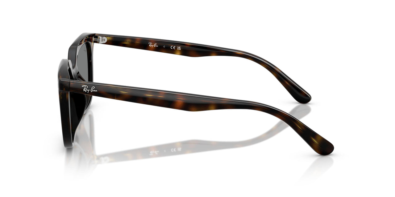710/87 - Tortoise - Dark Grey