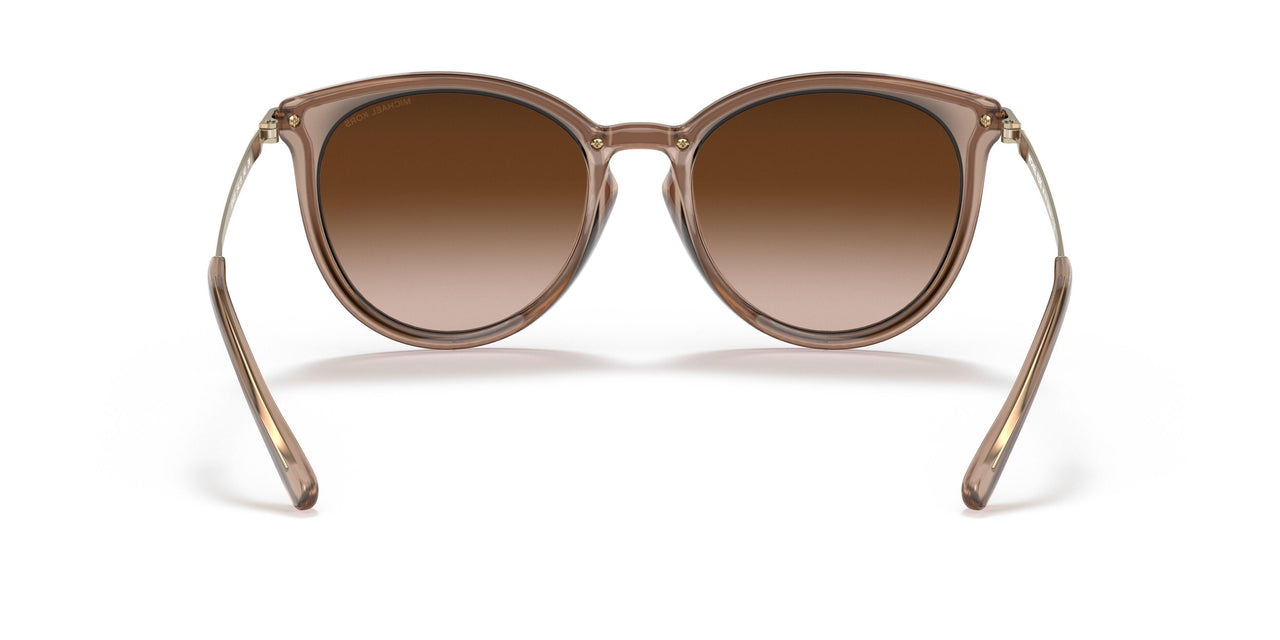 101413 - Brown - Brown Gradient