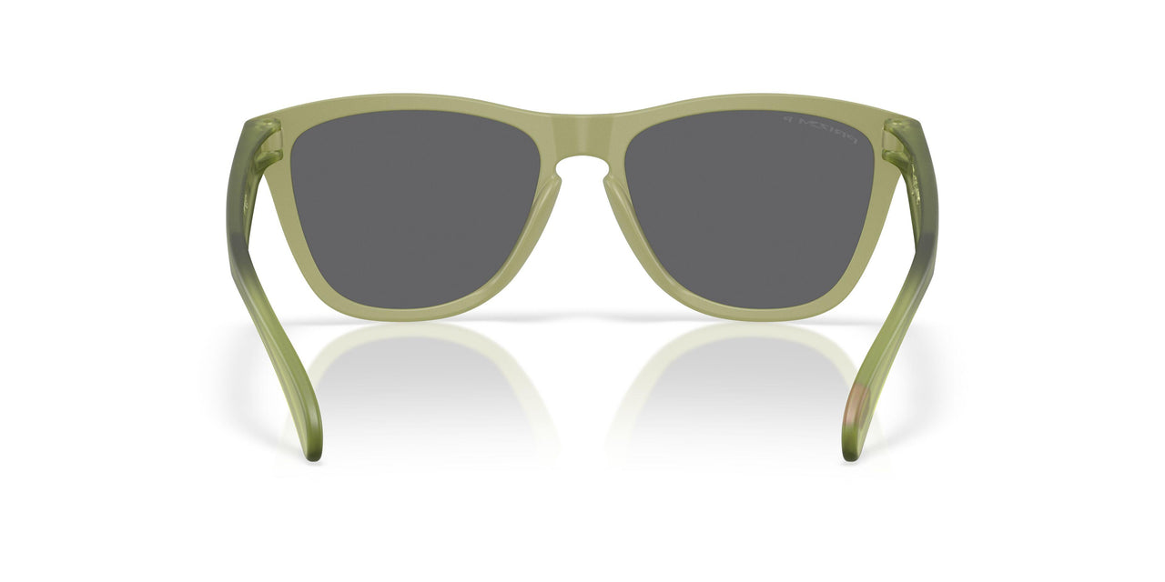 9245E9 - Green - Prizm Black Polarized