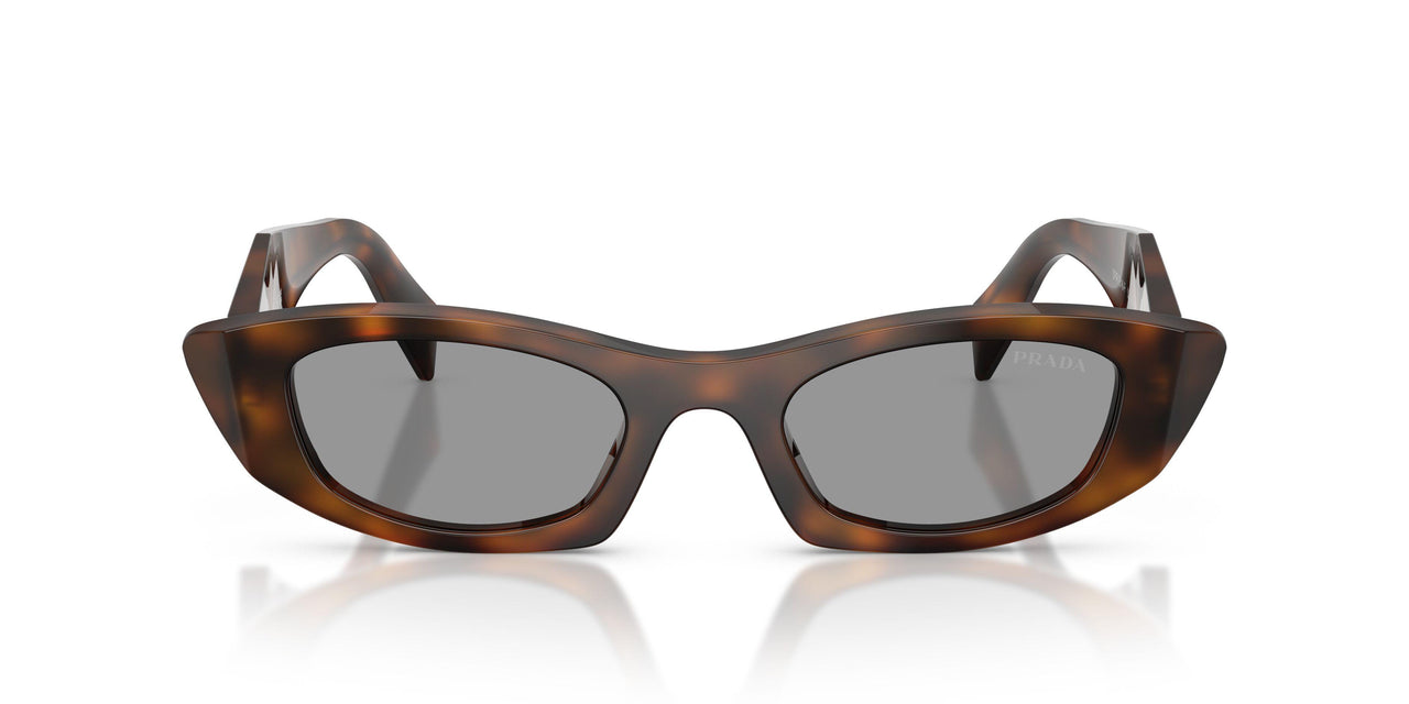 20D50Q - Havana - Grey