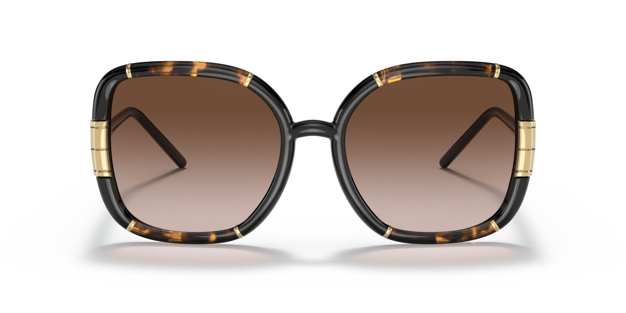 189613 - Havana - Brown Gardient