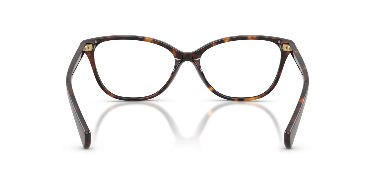 5003 - Tortoise