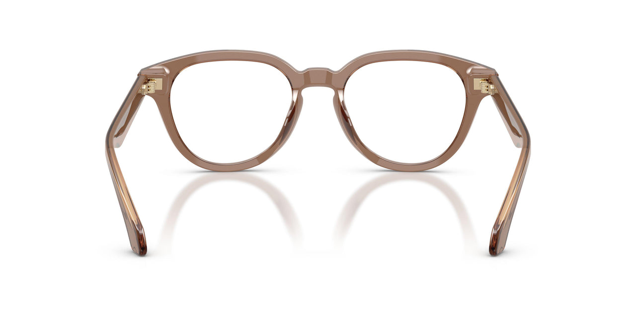 6469 - Brown