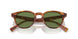 14834E - Tortoise - Vibrant Green