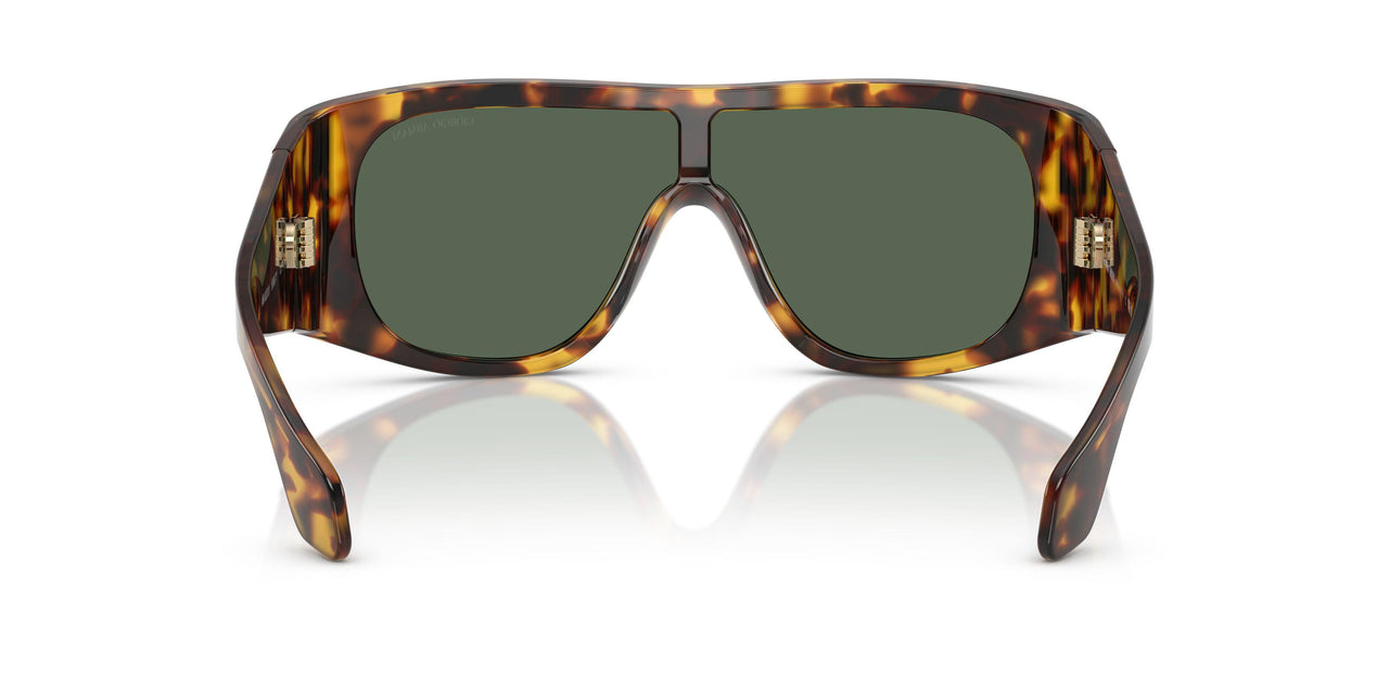 509271 - Tortoise - Dark Green