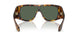 509271 - Tortoise - Dark Green