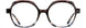 Cinzia CIN5167 Eyeglasses