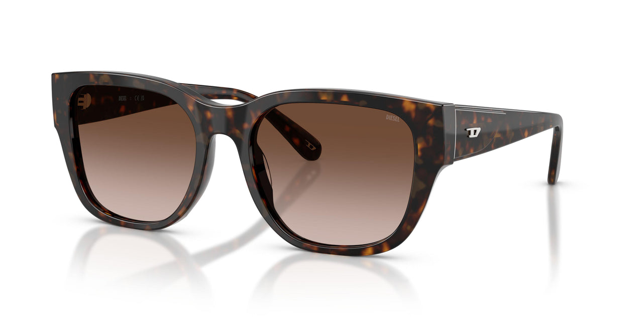 202213 - Tortoise - Brown Gradient