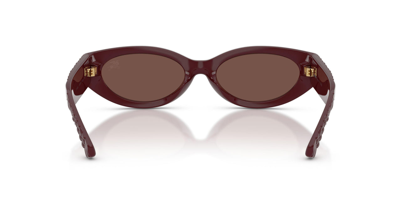 425973 - Red - Black Chocolate