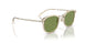 109452 - Brown - Green C